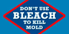 dont-use-bleach-to-kill-mold